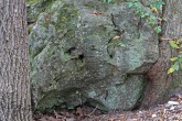 Backside of Moss Rock