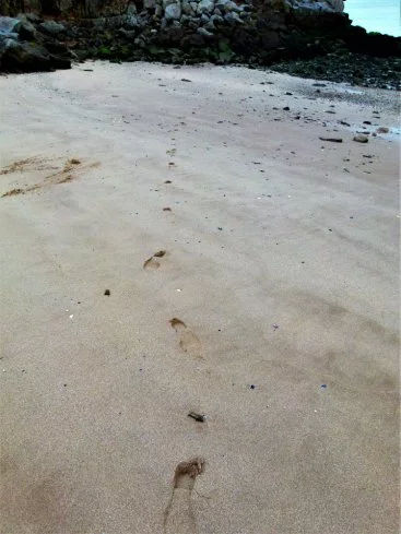 traces of tides.jpg